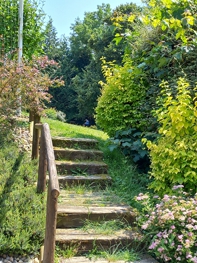 Le Pas de l'&Acirc;ne